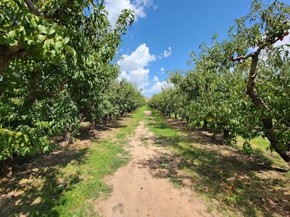 Apple Annie's You-Pick Orchard