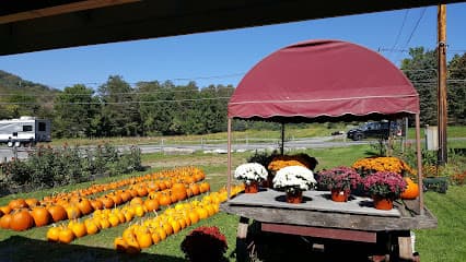 Harney & Sons Fine Teas Headquarters