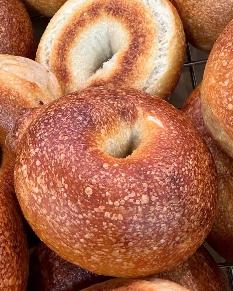 Hey Bagel