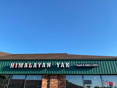 Himalayan Yak