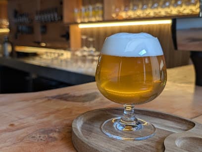 Ilium Brewing Co