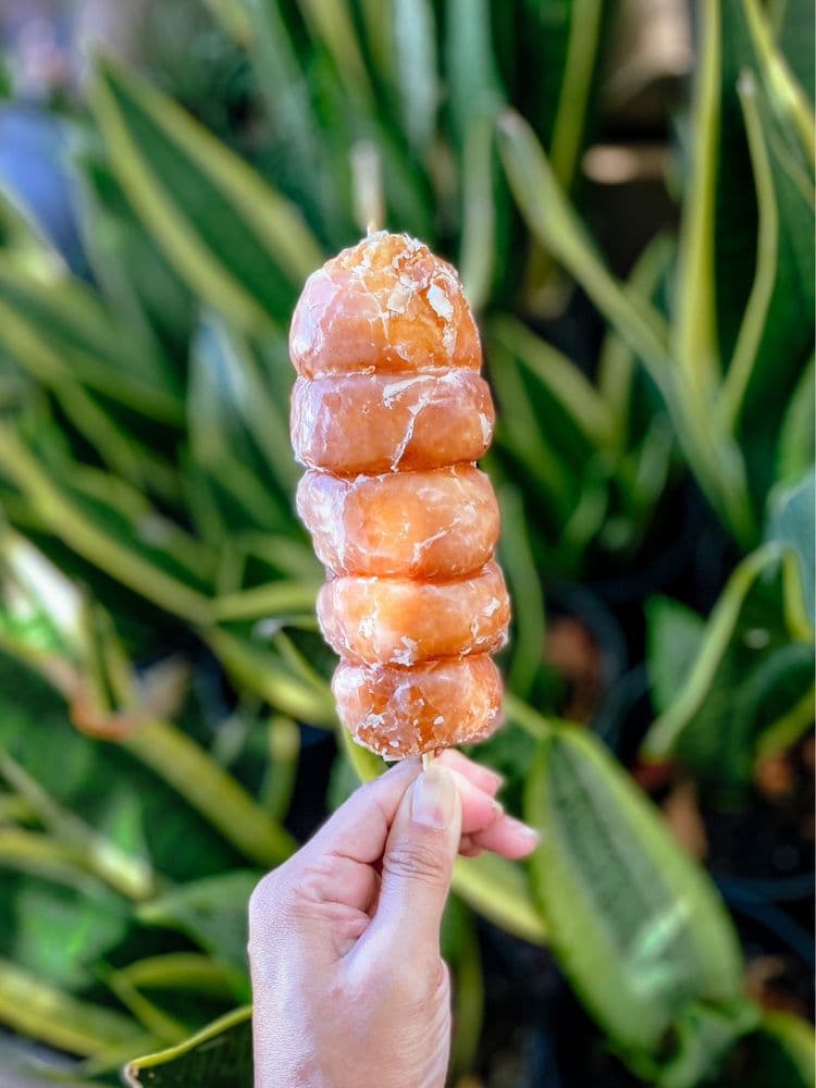 Komoda Store and Bakery