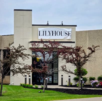 Lilyhouse