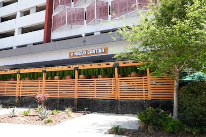 Nueva Cantina - Downtown Tampa