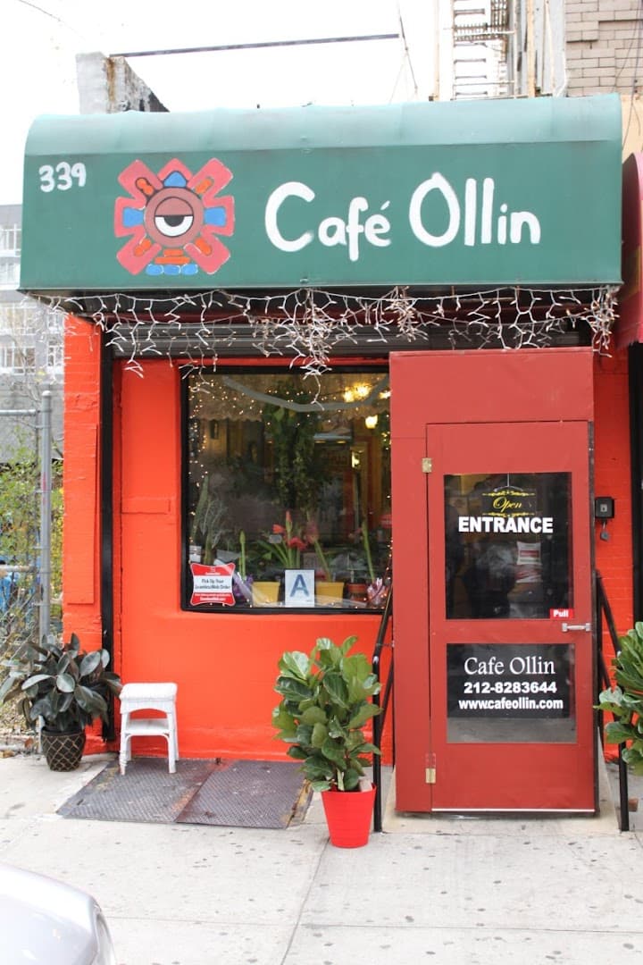 Ollin NYC