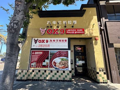 Ox 9 Lanzhou Handpulled Noodles