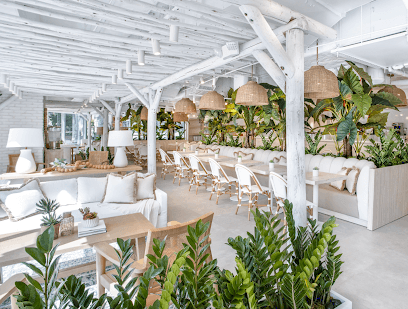 Pura Vida Miami