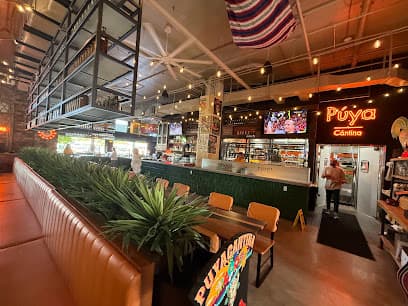 Puya Urban Cantina