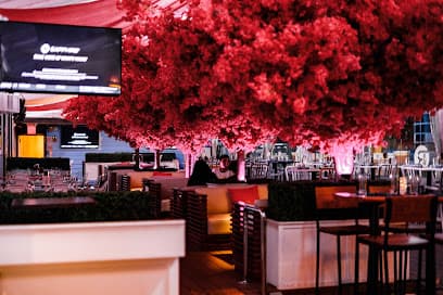 Republica Restaurant Rooftop & Lounge