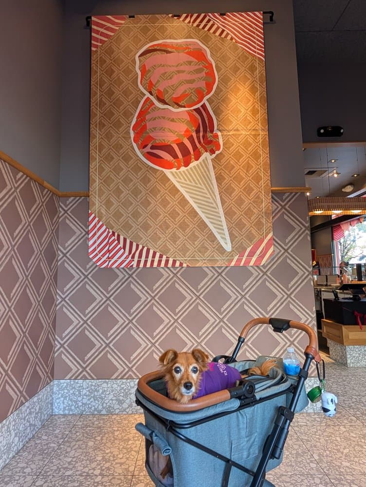 Salt & Straw