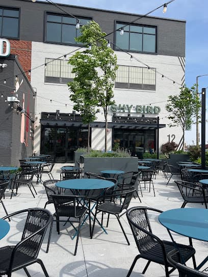 Shy Bird - South Boston