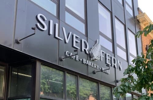Silver Fern