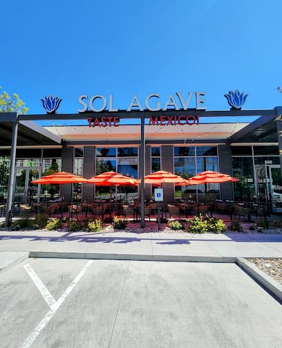 Sol Agave