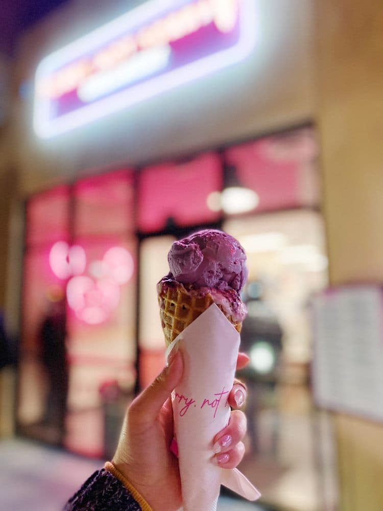 Sorry Not Sorry Creamery - Flamingo