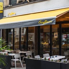 Sunflower Gramercy