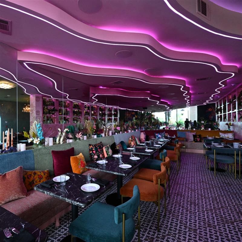 Tacos del Cartel Metairie