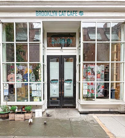 The Brooklyn Cat Cafe