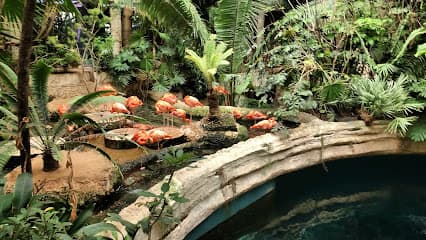 The Dallas World Aquarium